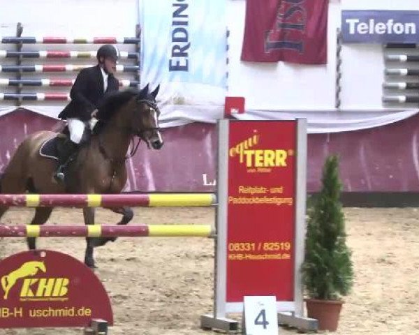 Springturnier Reiterhof Laurent 2015