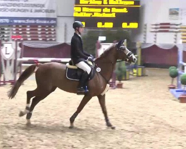 Springturnier Reiterhof Laurent 2015