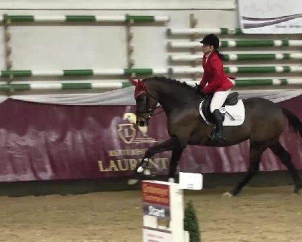 Springturnier Reiterhof Laurent 2015