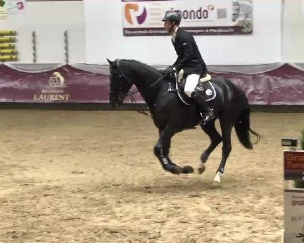 Springturnier Reiterhof Laurent 2015