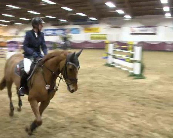 Springturnier Reiterhof Laurent 2015