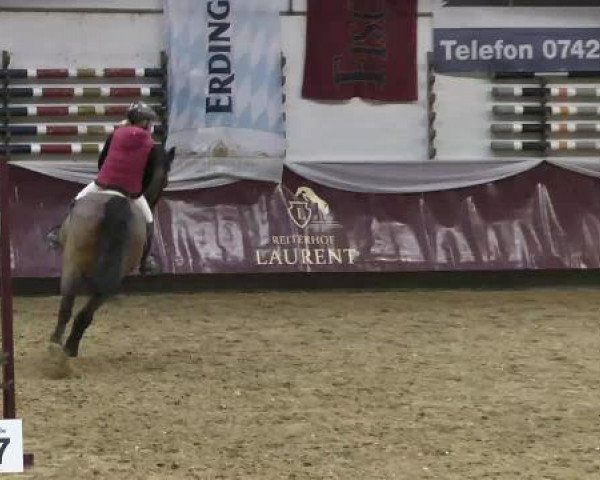 Springturnier Reiterhof Laurent 2015