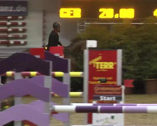 Springturnier Reiterhof Laurent 2015