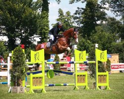 jumper Orient Von Gurbrue (Swiss Warmblood, 2008, from Ogano Sitte)