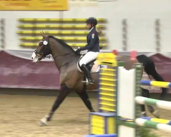 Springturnier Reiterhof Laurent 2015
