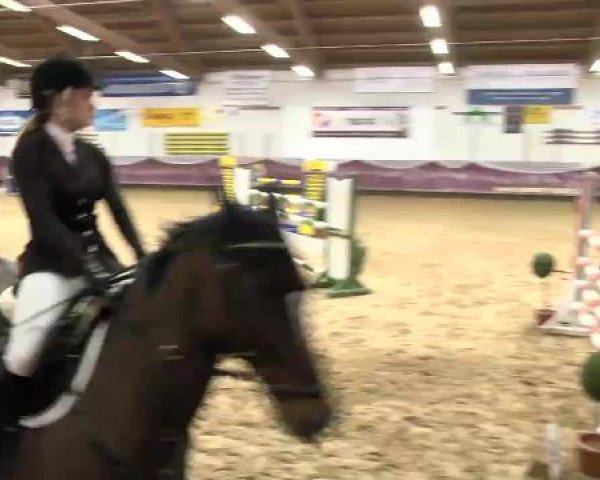 Springturnier Reiterhof Laurent 2015