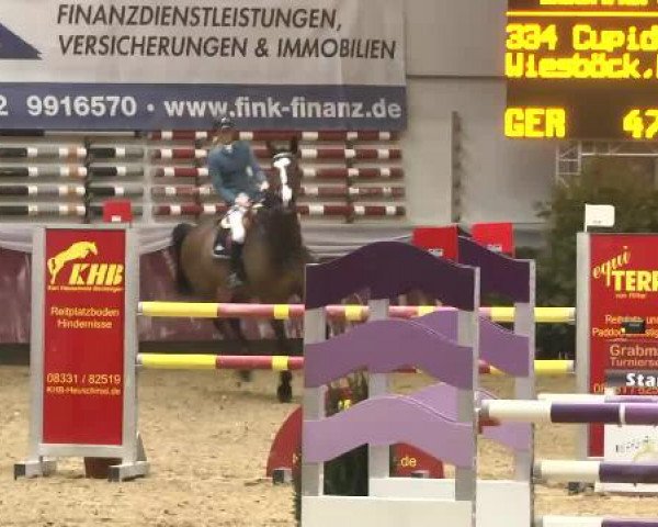 Springturnier Reiterhof Laurent 2015