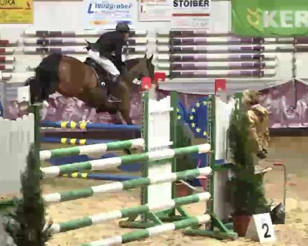 Springturnier Reiterhof Laurent 2015