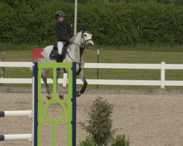 Torneo Equestre Öpfingen 2026