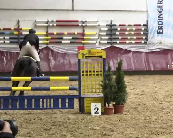Springturnier Reiterhof Laurent 2015