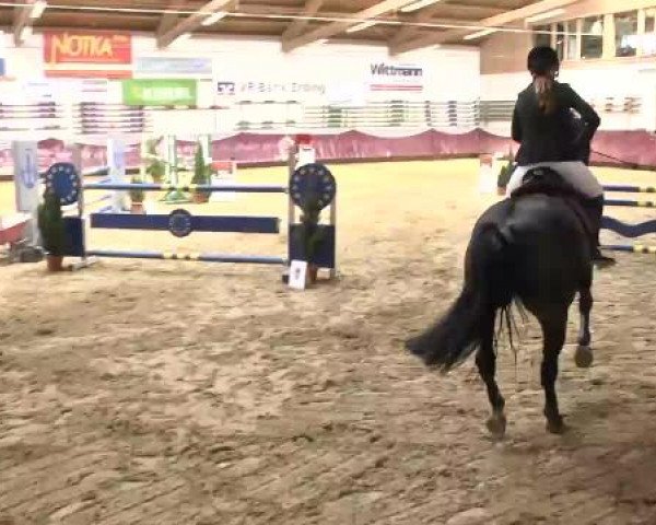 Springturnier Reiterhof Laurent 2015