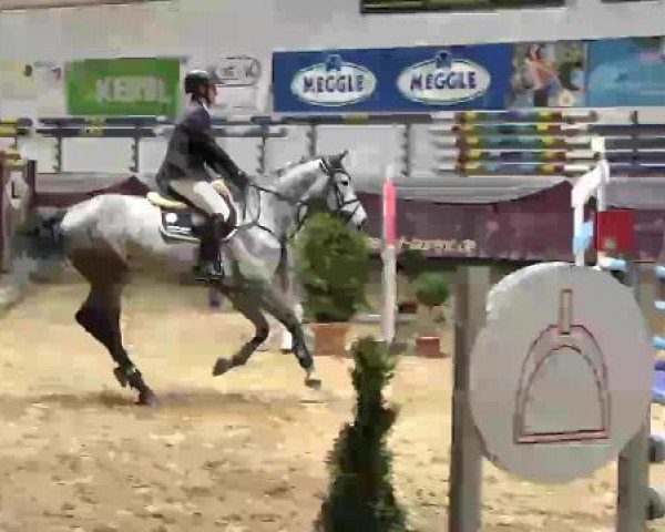 Springturnier Reiterhof Laurent 2015
