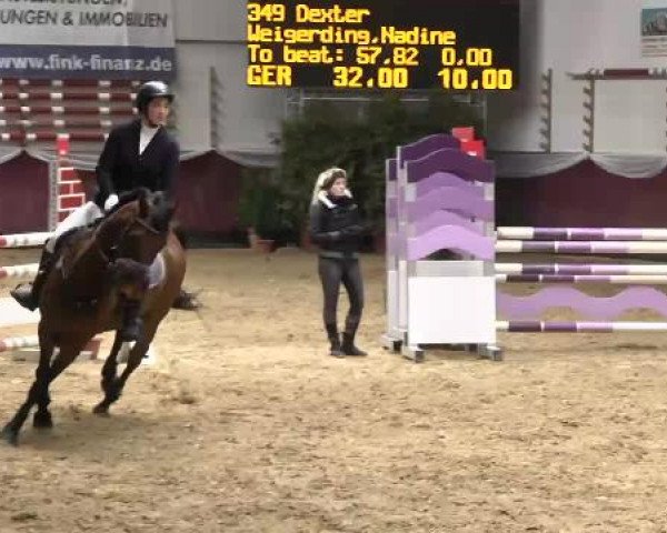 Springturnier Reiterhof Laurent 2015