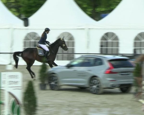 Equestrian Show Hamm-Rhynern 2026