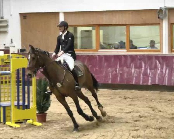 Springturnier Reiterhof Laurent 2015