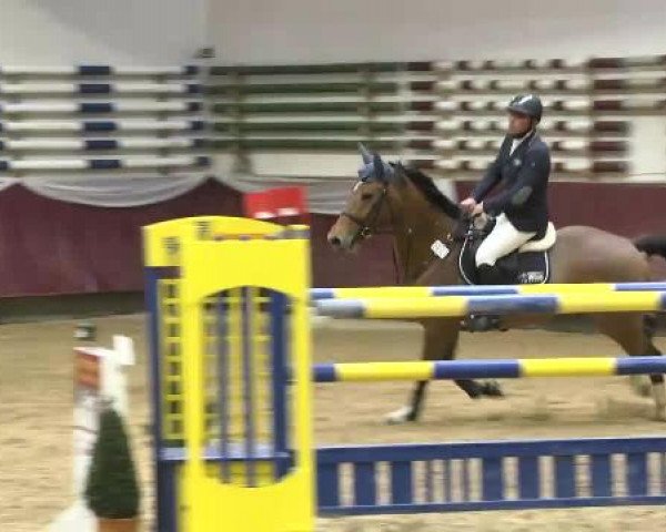 Springturnier Reiterhof Laurent 2015