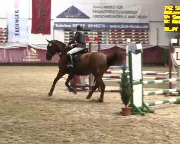 Springturnier Reiterhof Laurent 2015