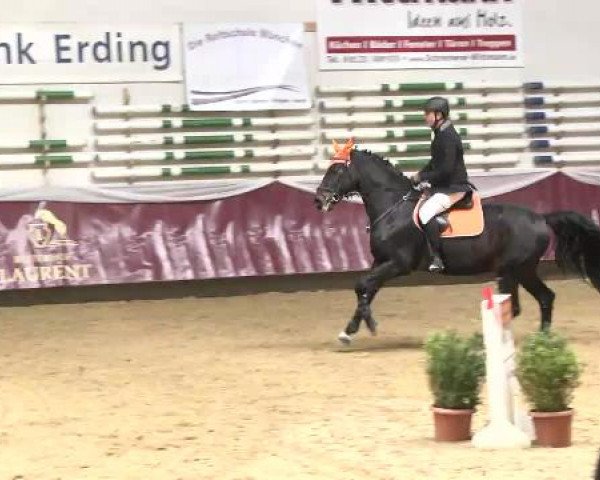 Springturnier Reiterhof Laurent 2015