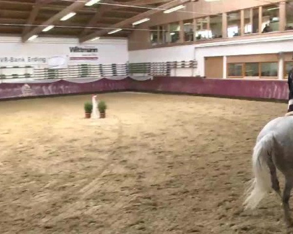 Springturnier Reiterhof Laurent 2015