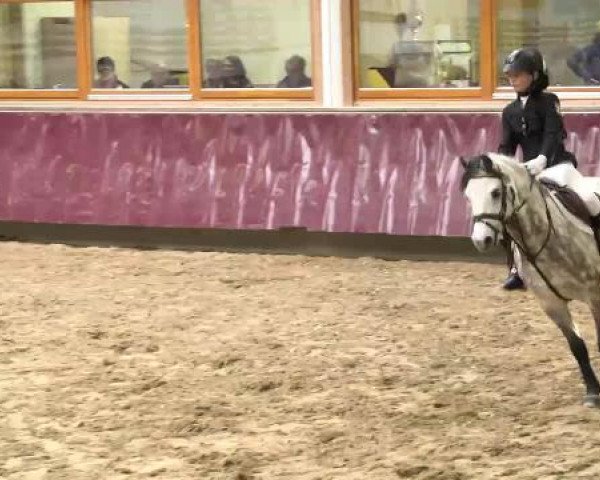 Springturnier Reiterhof Laurent 2015