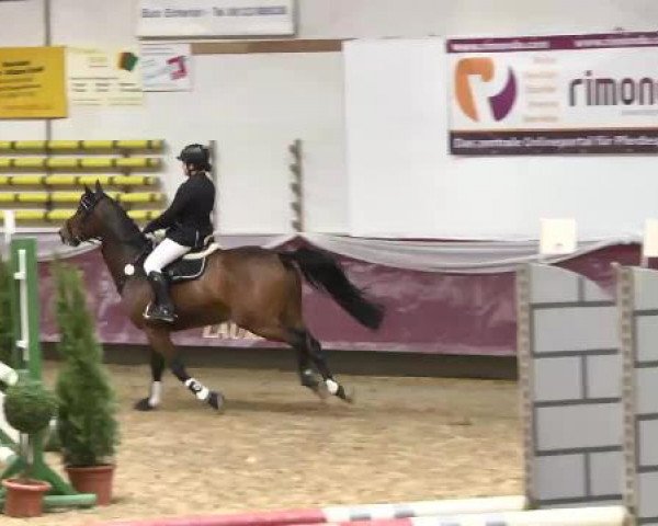 Springturnier Reiterhof Laurent 2015