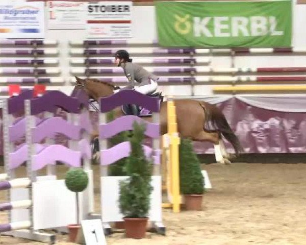 Springturnier Reiterhof Laurent 2015