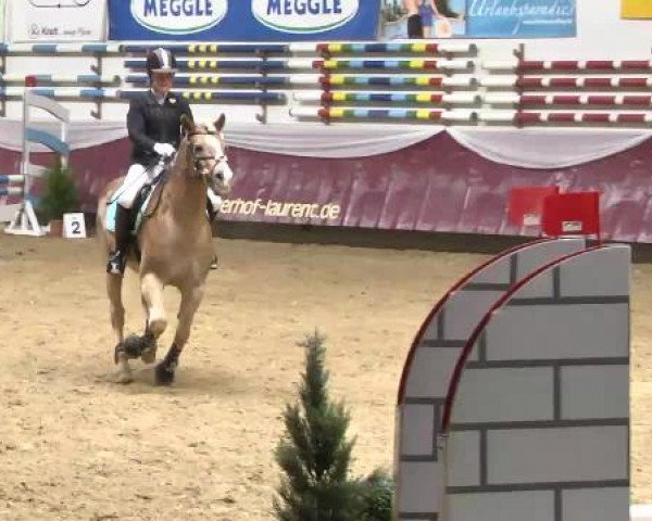 Springturnier Reiterhof Laurent 2015