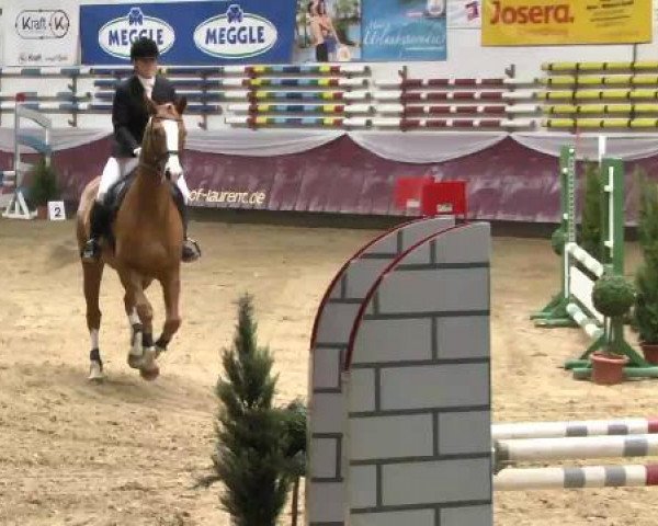 Springturnier Reiterhof Laurent 2015