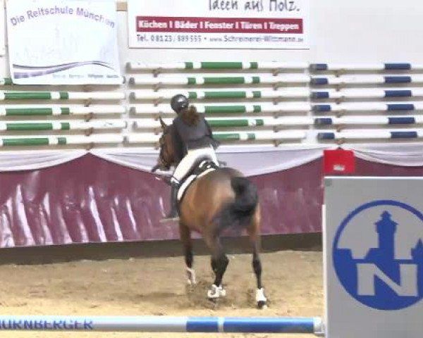 Springturnier Reiterhof Laurent 2015