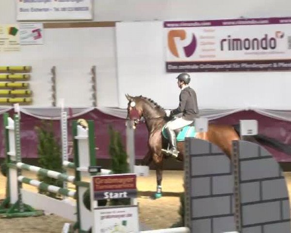Springturnier Reiterhof Laurent 2015