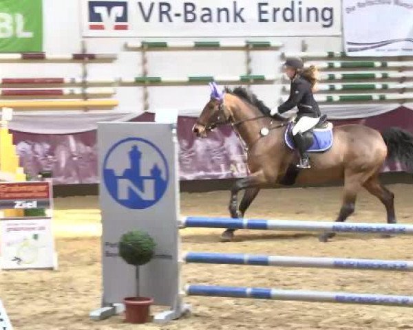 Springturnier Reiterhof Laurent 2015