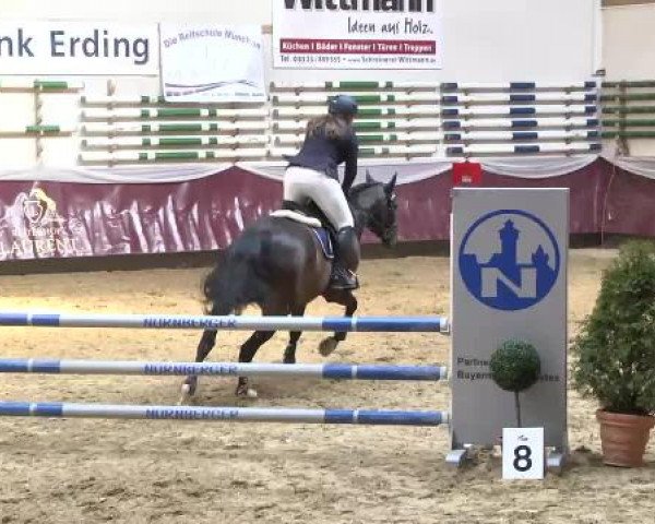 Springturnier Reiterhof Laurent 2015