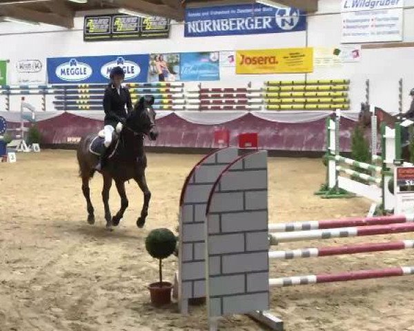 Springturnier Reiterhof Laurent 2015
