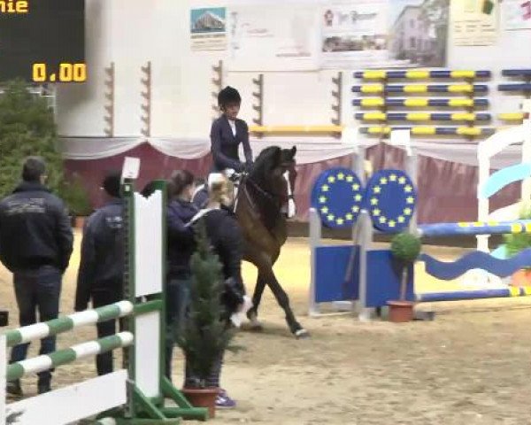 Springturnier Reiterhof Laurent 2015