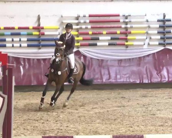 Springturnier Reiterhof Laurent 2015