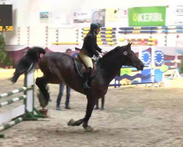 Springturnier Reiterhof Laurent 2015