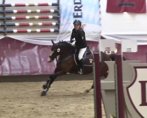 Springturnier Reiterhof Laurent 2015