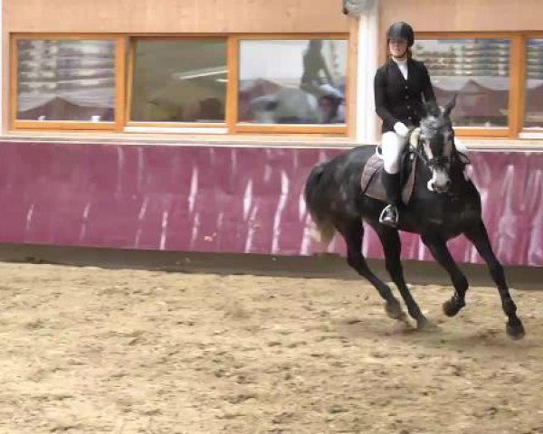 Springturnier Reiterhof Laurent 2015