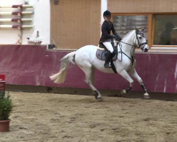 Springturnier Reiterhof Laurent 2015