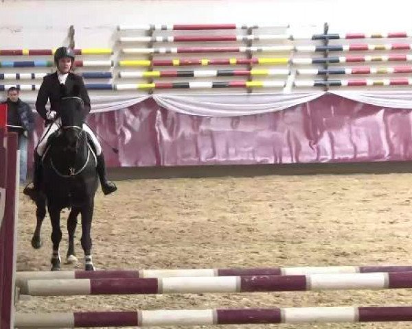 Springturnier Reiterhof Laurent 2015
