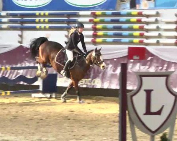 Springturnier Reiterhof Laurent 2015