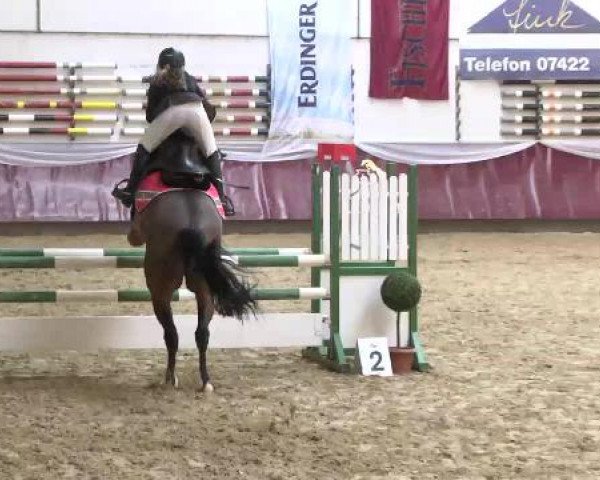 Springturnier Reiterhof Laurent 2015