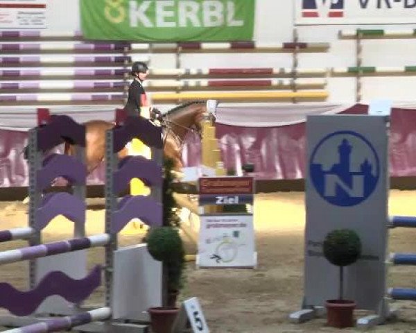 Springturnier Reiterhof Laurent 2015