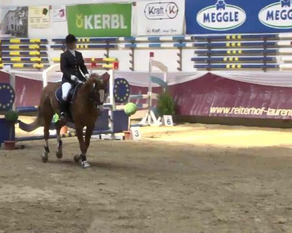 Springturnier Reiterhof Laurent 2015