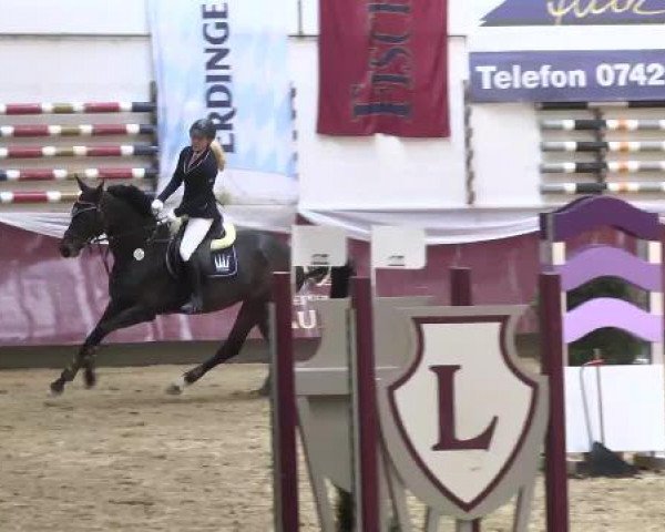 Springturnier Reiterhof Laurent 2015