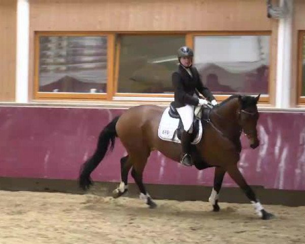 Springturnier Reiterhof Laurent 2015