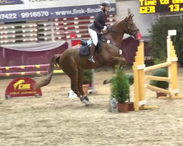 Springturnier Reiterhof Laurent 2015