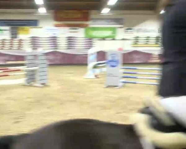 Springturnier Reiterhof Laurent 2015