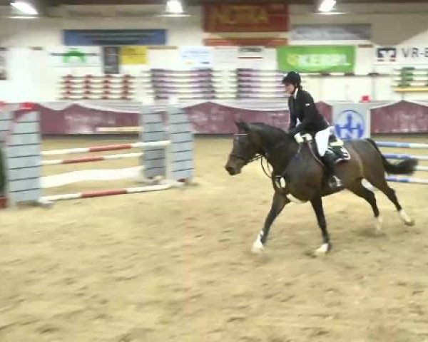 Springturnier Reiterhof Laurent 2015