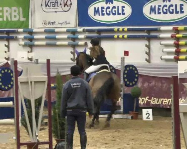 Springturnier Reiterhof Laurent 2015